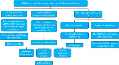 Comprehensive analysis of the glutathione S-transferase Mu (GSTM) gene family in ovarian cancer identifies prognostic and expression significance